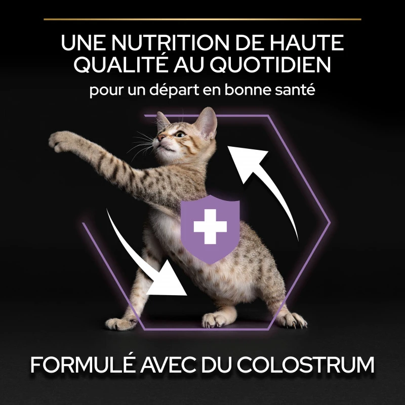 PURINA PRO PLAN Cat Kitten Healthy Start Poulet 14 PURINA PRO PLAN Cat Kitten Healthy Start Poulet – Image 12