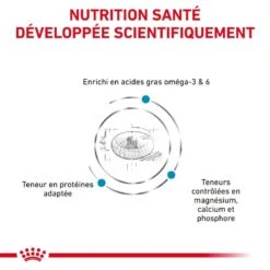 ROYAL CANIN Cat Skin & Coat -RIMBERIO cat skin coat 4