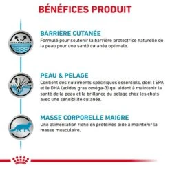 ROYAL CANIN Cat Skin & Coat -RIMBERIO cat skin coat 5
