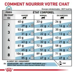 ROYAL CANIN Cat Skin & Coat -RIMBERIO cat skin coat 6