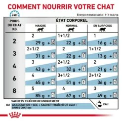 ROYAL CANIN Cat Skin & Coat Sachet Repas -RIMBERIO cat skincoat sachet repas 4