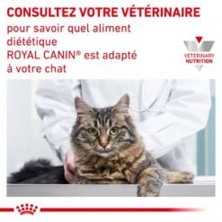 ROYAL CANIN Cat Urinary S/O Sachet Repas -RIMBERIO cat urinary s o morceaux sachet repas 12 sachets de 85 g 3