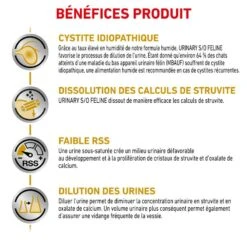 ROYAL CANIN Cat Urinary S/O Mousse Sachet Repas -RIMBERIO cat urinary s o mousse sachet repas 4