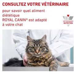 ROYAL CANIN Cat Urinary S/O Mousse Sachet Repas -RIMBERIO cat urinary s o mousse sachet repas 6