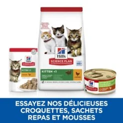Chat Kitten And Mother Mousse Poulet & Dinde Boîte 10 Chat Kitten And Mother Mousse Poulet & Dinde Boîte -RIMBERIO chat kitten and mother mousse poulet dinde boite 3