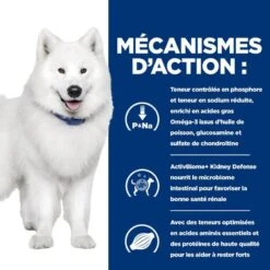 Chien K/d J/d Kidney + Mobility Poulet Boîte -RIMBERIO chien k d j d kidney mobility poulet boite 3