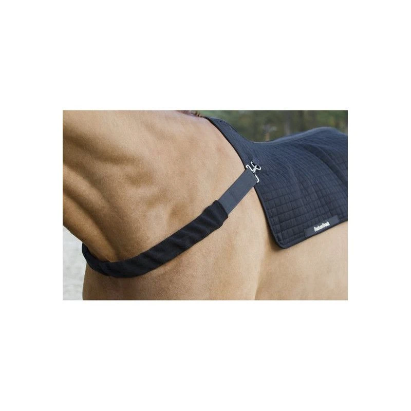 Materiel Collier Pour Protège Dos Back Warmer Back On Track 4 Materiel Collier Pour Protège Dos Back Warmer Back On Track – Image 2