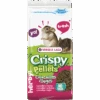 VERSELE-LAGA Crispy Pellets Chinchilla & Degus