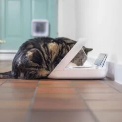 Distributeur Automatique De Nourriture SureFeed Connect -RIMBERIO distributeur automatique de nourriture surefeed connect 5