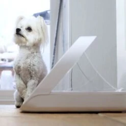 Distributeur Automatique De Nourriture SureFeed Connect -RIMBERIO distributeur automatique de nourriture surefeed connect 6