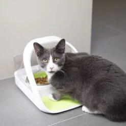 Distributeur Automatique De Nourriture SureFeed Connect -RIMBERIO distributeur automatique de nourriture surefeed connect 7