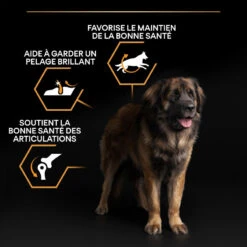 PURINA PRO PLAN Dog Large Robust Adult Poulet Optibalance -RIMBERIO dog large robust adult chicken optibalance 12