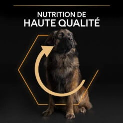 PURINA PRO PLAN Dog Large Robust Adult Poulet Optibalance -RIMBERIO dog large robust adult chicken optibalance 13