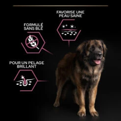 PURINA PRO PLAN Dog Large Robust Adult Sensitive Skin Salmon Optiderma -RIMBERIO dog large robust adult sensitive skin salmon optiderma 7