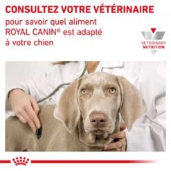 ROYAL CANIN Dog Mobility Support -RIMBERIO dog mobility support 6