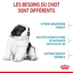 ROYAL CANIN Dog Puppy Giant -RIMBERIO dog puppy giant 3