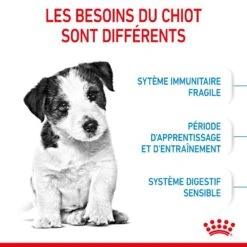 ROYAL CANIN Dog Puppy Mini -RIMBERIO dog puppy mini 3
