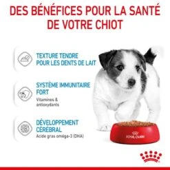ROYAL CANIN Dog Puppy Mini Sachet Repas 15 ROYAL CANIN Dog Puppy Mini Sachet Repas -RIMBERIO dog puppy mini sachet repas 4