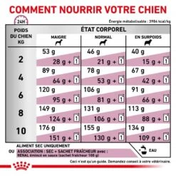ROYAL CANIN Dog Renal Small Dog -RIMBERIO dog renal small dog 3