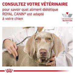 ROYAL CANIN Dog Renal Small Dog -RIMBERIO dog renal small dog 6