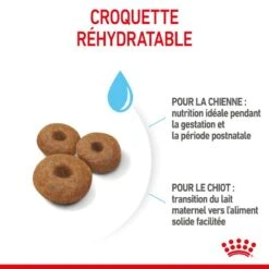 ROYAL CANIN Dog Starter Mother & Babydog Maxi 12 ROYAL CANIN Dog Starter Mother & Babydog Maxi -RIMBERIO dog starter mother babydog maxi 2