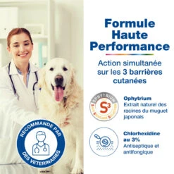 CEVA Douxo S3 Pyo Shampooing -RIMBERIO douxo s3 pyo shampooing 8