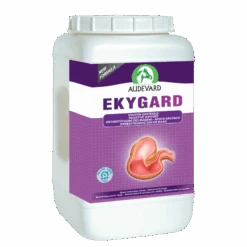 Ekygard