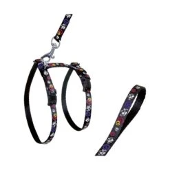 Materiel Ensemble Harnais / Laisse Chat Art Sportiv