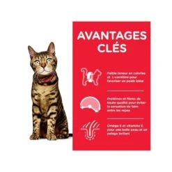 Feline Adult Light Pack Mixte Sachet Repas -RIMBERIO feline adult light pack mixte sachet repas 2