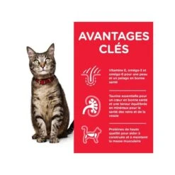 Feline Adult Poulet Optimal Care -RIMBERIO feline adult poulet optimal care 1