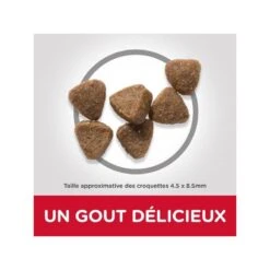 Feline Adult Poulet Optimal Care -RIMBERIO feline adult poulet optimal care 2