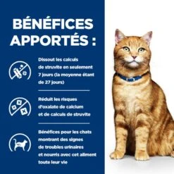 C/D Urinary Multicare Sachet Repas Pour Chat Saumon -RIMBERIO feline c d multicare sachet repas saumon 3