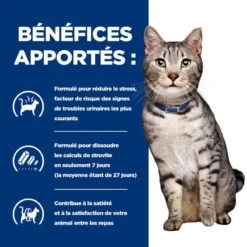 C/D Urinary Stress Multicare+Metabolic Sachet Repas Pour Chat Poulet -RIMBERIO feline c d urinary stress metabolic sachet repas 3