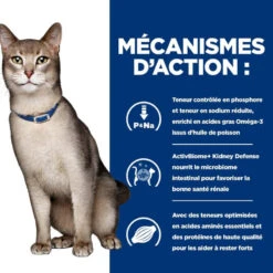 K/D Kidney Croquettes Pour Chat Au Poulet -RIMBERIO feline k d 4