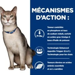 K/D Kidney Sachet Repas Pour Chat Saumon 15 K/D Kidney Sachet Repas Pour Chat Saumon -RIMBERIO feline k d sachet repas saumon 4