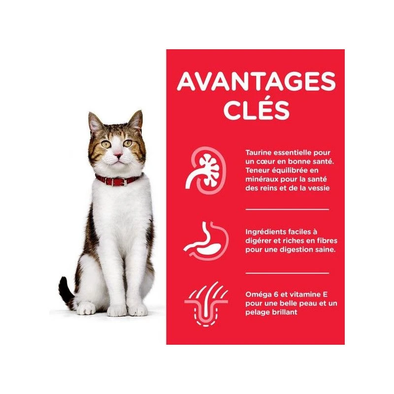 Feline Mature Pack Mixte Sachet Repas 6 Feline Mature Pack Mixte Sachet Repas – Image 4