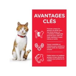 Feline Sterilised Cat Young Adult Pack Mixte Sachet Repas -RIMBERIO feline sterilised cat young adult pack mixte sachet repas 5