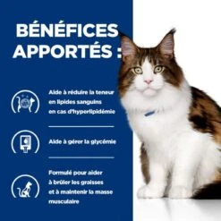 W/D Multi Benefit Croquettes Pour Chat Au Poulet 13 W/D Multi Benefit Croquettes Pour Chat Au Poulet -RIMBERIO feline w d 3