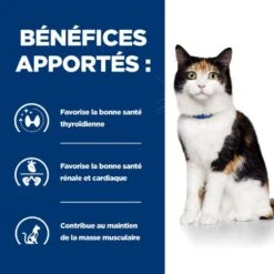Y/d Thyroid Boîte Pour Chat -RIMBERIO feline y d boite 3