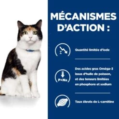Y/d Thyroid Boîte Pour Chat -RIMBERIO feline y d boite 4