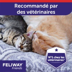 CEVA Feliway Friends -RIMBERIO feliway friends 5