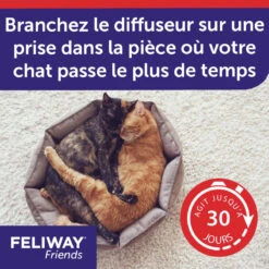 CEVA Feliway Friends -RIMBERIO feliway friends 6