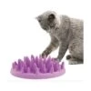 Materiel Gamelle Catch Interactive Cat Feeder Pour Chat -RIMBERIO gamelle catch interactive cat feeder pour chat