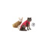 Materiel Gilet Pet Shirt Pour Chat - 4XS - Lg : 25-32 Cm (Rouge) -RIMBERIO gilet pet shirt pour chat 4xs lg 25 32 cm rouge