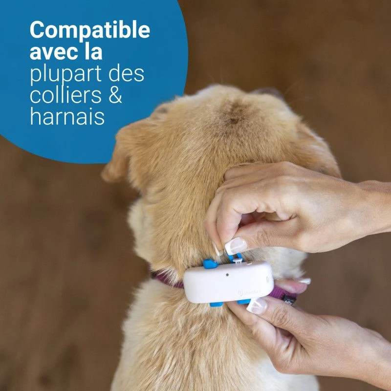 Materiel GPS Tractive Dog 4 Pour Chien 8 Materiel GPS Tractive Dog 4 Pour Chien – Image 6