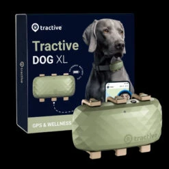 Materiel GPS Tractive Dog XL Pour Chien