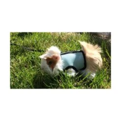 Materiel Harnais Confort Pour Rongeur