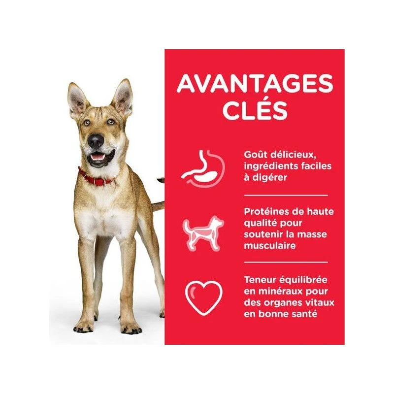 Canine Adult Performance 4 Canine Adult Performance – Image 2