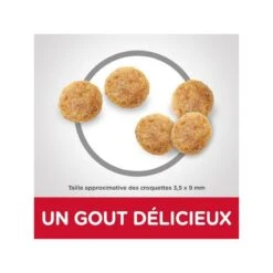 Feline Mature Adult 7+ Poulet -RIMBERIO hills feline mature adult 7 poulet 2