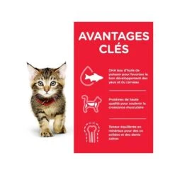 Kitten Pack Mixte Sachet Repas -RIMBERIO kitten pack mixte sachet repas 3